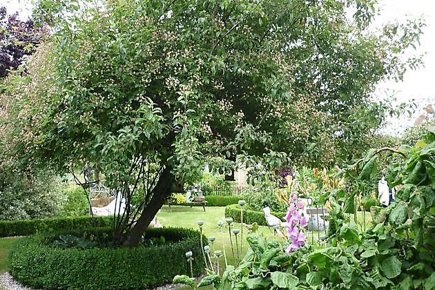 Der versteckte Garten am Jadebusen Bockhorn/Ellenserdamm
