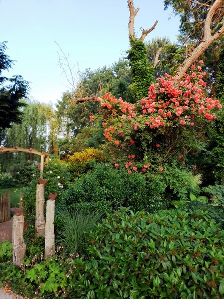 Tuin der verscheidenheid Friesoythe-Neuscharrel - Het Tuinpad Op / In Nachbars Garten