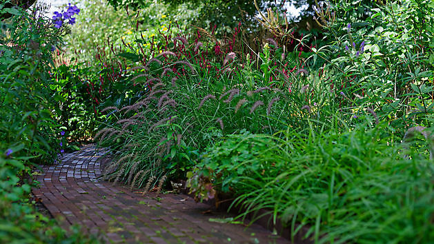 BlommenTuin Buinen - Het Tuinpad Op / In Nachbars Garten