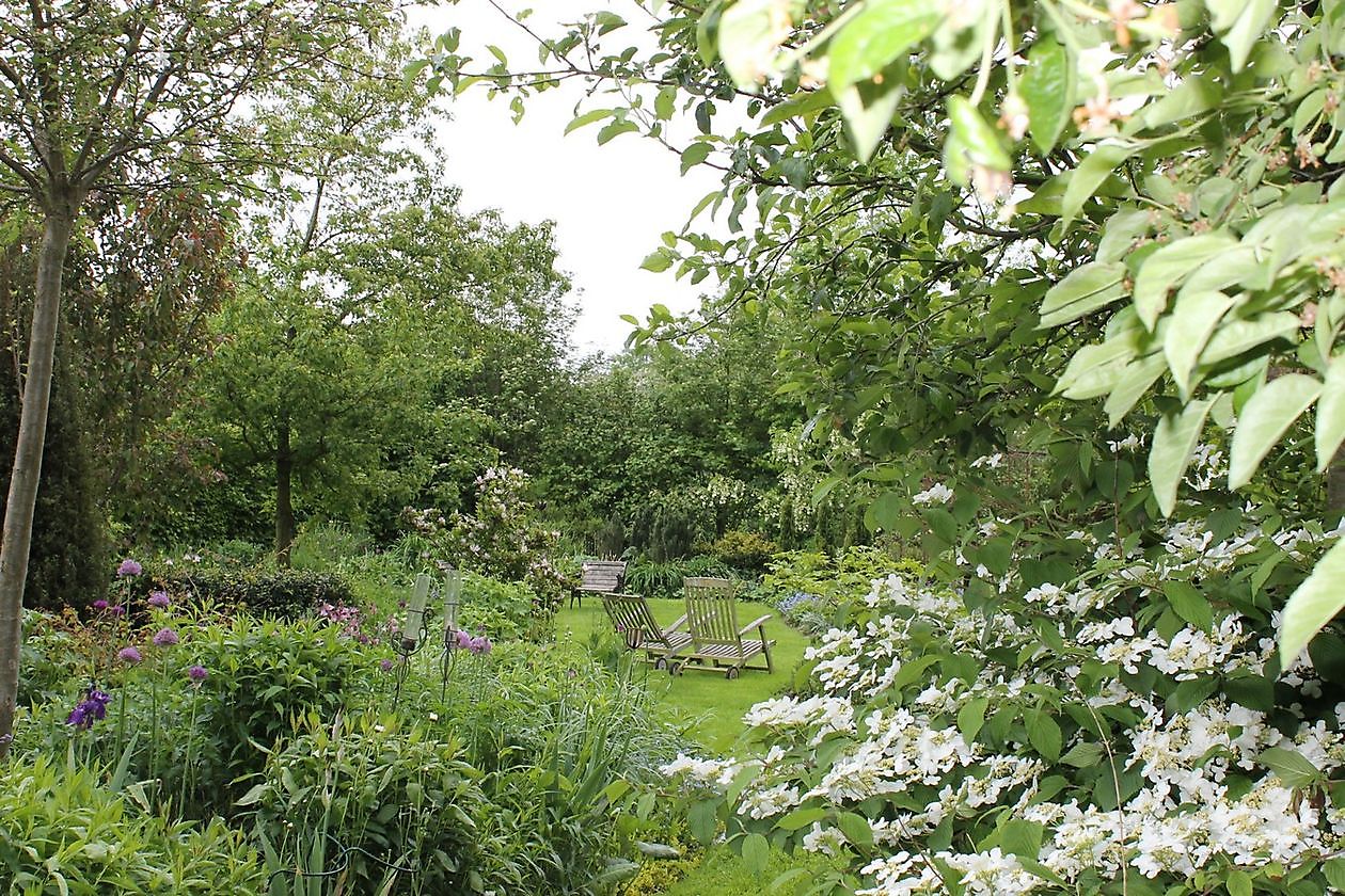 Stauden-Oase - Het Tuinpad Op / In Nachbars Garten