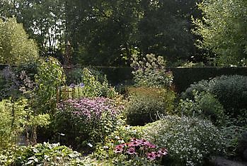 Eenrum: GROENTENDAGEN - Het Tuinpad Op / In Nachbars Garten
