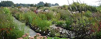 Vriescheloo: Vaste Plantendagen & Keramiek in de Tuin - Het Tuinpad Op / In Nachbars Garten
