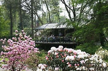 Eenrum: Geuren & Kleurenfeest - Het Tuinpad Op / In Nachbars Garten