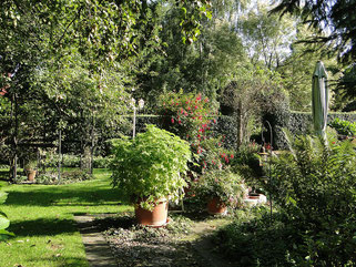 Papenburg: Herfstbladdagen - Het Tuinpad Op / In Nachbars Garten
