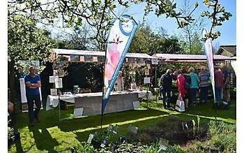 Meeden: ALTERNATIEVE KWEKERIJDAGEN, internationaal plantenfeest - Het Tuinpad Op / In Nachbars Garten