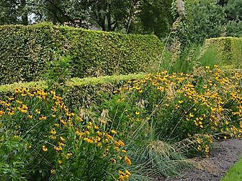 Tuinen van de Drentse Hooglanden - Het Tuinpad Op / In Nachbars Garten
