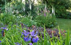 Winschoten Open Tuinen Estafette Groei & Bloei - Het Tuinpad Op / In Nachbars Garten