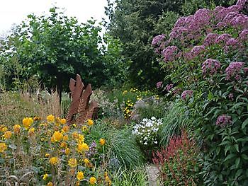 Meeden, Siergrassen- en nazomerbloei-maand - Het Tuinpad Op / In Nachbars Garten