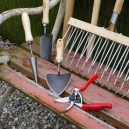 Meeden, Fruit-, Snoei- en Varen-Festijn (onder voorbehoud) - Het Tuinpad Op / In Nachbars Garten