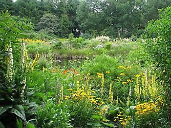 Westerlee, Open Tuin in twee bijzondere tuinen - Het Tuinpad Op / In Nachbars Garten