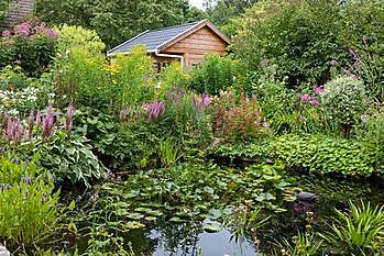 Open weekend Vechtdaltuinen - Het Tuinpad Op / In Nachbars Garten