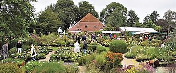 Meeden, Najaarsplantenmarkt - Het Tuinpad Op / In Nachbars Garten