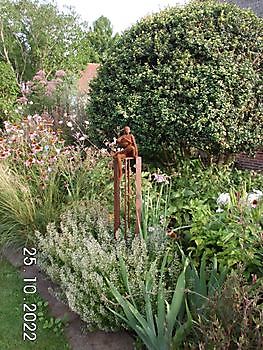 Betoverende tuinen in de Wesermarsch - Het Tuinpad Op / In Nachbars Garten