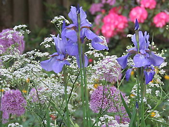 Pfingsten im Landidyll - Het Tuinpad Op / In Nachbars Garten