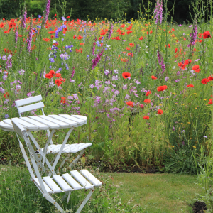 Varel-Altjührden: Gartentraum in Altjührden - Het Tuinpad Op / In Nachbars Garten