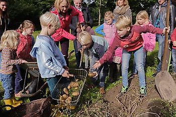 Cloppenburg: Mahlzeit! Ernten und Essen - Het Tuinpad Op / In Nachbars Garten