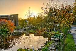 Bad Zwischenahn: „Herfstimpressies in het park“ - Het Tuinpad Op / In Nachbars Garten