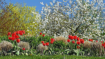 Bad Zwischenahn: Sonderöffnung "Frühlingsboten im Park" - Het Tuinpad Op / In Nachbars Garten