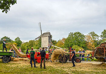 Cloppenburg: Mahlzeit und Saatguttauschbörse - Het Tuinpad Op / In Nachbars Garten