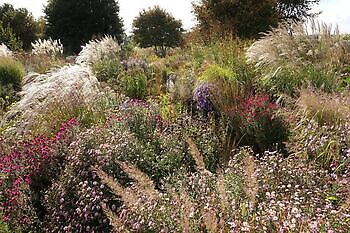 Vriescheloo, "Seizoensafsluiting" - Het Tuinpad Op / In Nachbars Garten