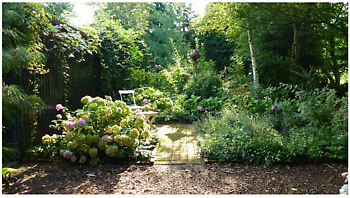 Großefehn: Gartenöffnung zur Hortensienblüte - Het Tuinpad Op / In Nachbars Garten
