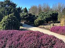 Bad Zwischenahn: "Winterheide im Park" - Sonderöffnung - Het Tuinpad Op / In Nachbars Garten