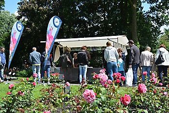 Groenmarkt in Winschoten - Het Tuinpad Op / In Nachbars Garten