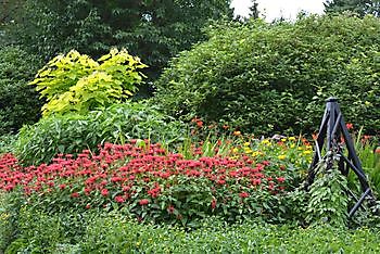 Contactdag HTO/ING - Het Tuinpad Op / In Nachbars Garten