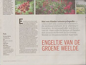 De Groene Weelde in Dagblad van het Noorden - Het Tuinpad Op / In Nachbars Garten