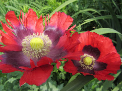  - Het Tuinpad Op / In Nachbars Garten