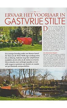 De Witte Wolk in Groei & Bloei - Het Tuinpad Op / In Nachbars Garten