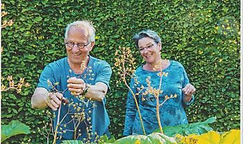  - Het Tuinpad Op / In Nachbars Garten