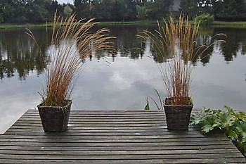 Sommergartenmarathon in Ostrhauderfehn - Het Tuinpad Op / In Nachbars Garten