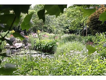  - Het Tuinpad Op / In Nachbars Garten