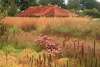  - Het Tuinpad Op / In Nachbars Garten