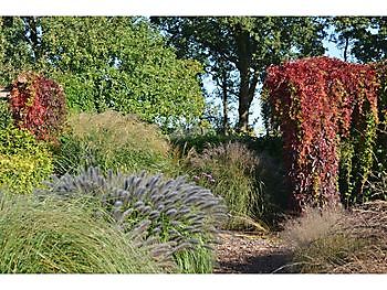  - Het Tuinpad Op / In Nachbars Garten