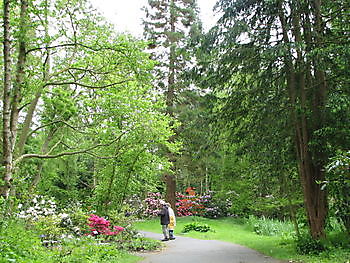  - Het Tuinpad Op / In Nachbars Garten