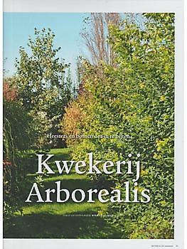 Arborealis in DE TUIN in vier seizoenen - Het Tuinpad Op / In Nachbars Garten