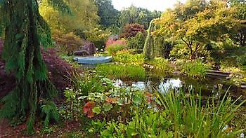 Der Weg zum Gartenglück - Het Tuinpad Op / In Nachbars Garten