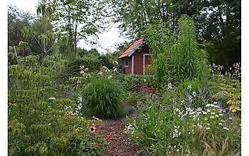  - Het Tuinpad Op / In Nachbars Garten