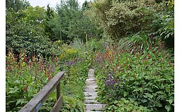 Zomercontactdag 2018 - Het Tuinpad Op / In Nachbars Garten