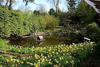  - Het Tuinpad Op / In Nachbars Garten