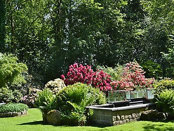 Reportage op www.parkstadveendam.nl - Het Tuinpad Op / In Nachbars Garten