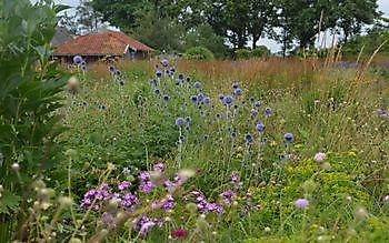 Zomercontactdag 13 juli 2019 - Het Tuinpad Op / In Nachbars Garten