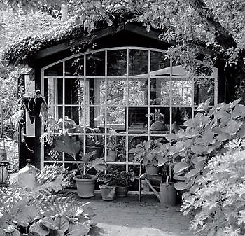 Lebe deinen Traum - Het Tuinpad Op / In Nachbars Garten