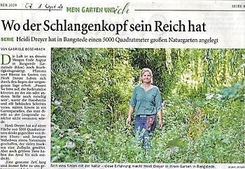 Wo der Schlangenkopf sein Reich hat - Het Tuinpad Op / In Nachbars Garten