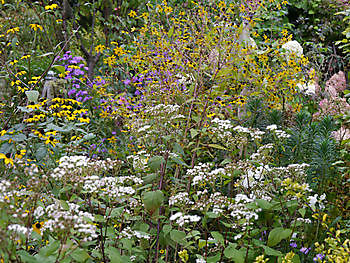 Das Moorjuwel in Wiesmoor - Het Tuinpad Op / In Nachbars Garten