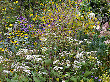 Das Moorjuwel in Wiesmoor - Het Tuinpad Op / In Nachbars Garten