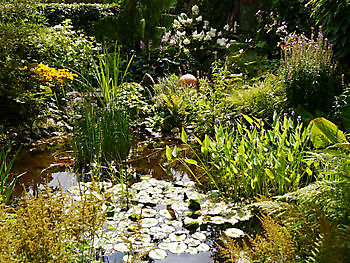 Das Moorjuwel in Wiesmoor - Het Tuinpad Op / In Nachbars Garten