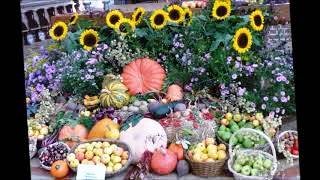 Herbstimpressionen - Het Tuinpad Op / In Nachbars Garten